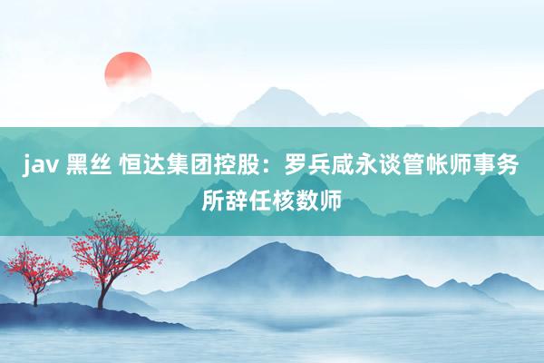 jav 黑丝 恒达集团控股：罗兵咸永谈管帐师事务所辞任核数师