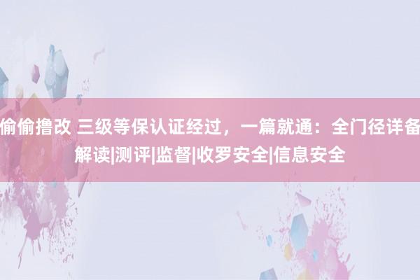 偷偷撸改 三级等保认证经过，一篇就通：全门径详备解读|测评|监督|收罗安全|信息安全