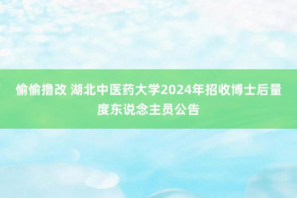 偷偷撸改 湖北中医药大学2024年招收博士后量度东说念主员公告