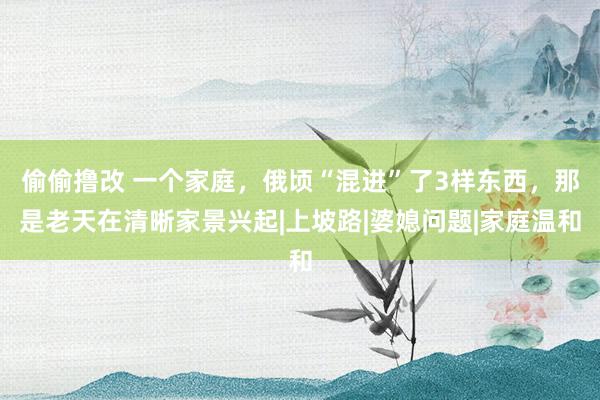 偷偷撸改 一个家庭，俄顷“混进”了3样东西，那是老天在清晰家景兴起|上坡路|婆媳问题|家庭温和