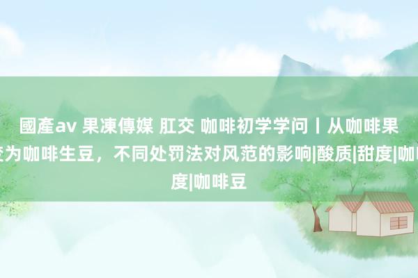 國產av 果凍傳媒 肛交 咖啡初学学问丨从咖啡果实变为咖啡生豆，不同处罚法对风范的影响|酸质|甜度|咖啡豆