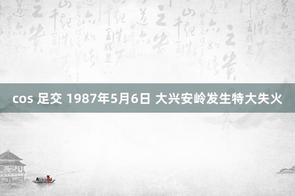 cos 足交 1987年5月6日 大兴安岭发生特大失火